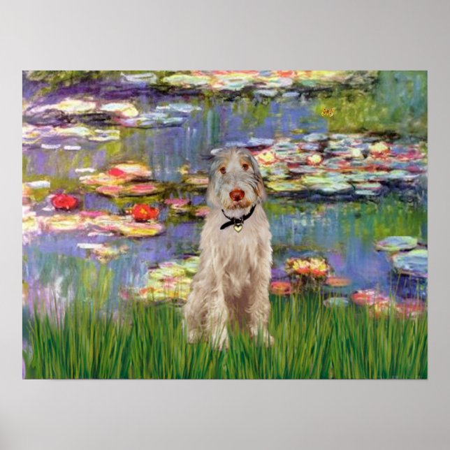 Italian Spinone 12 - Lilies 2 Poster (Front)