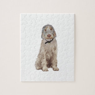Italian Spinone (A) - Wheaten Jigsaw Puzzle