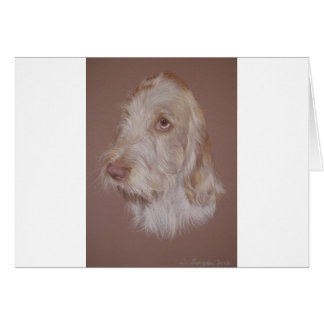 Italian Spinone Cards