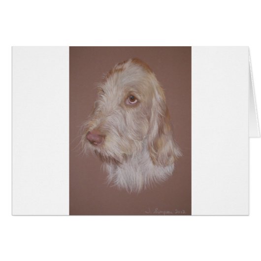 Italian Spinone Cards (Front Horizontal)