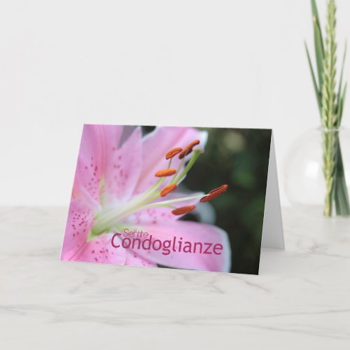 Italian Sympathy Pink Tiger Lily Card