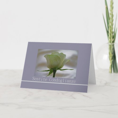 Italian Sympathy roses _ sentite condoglianze Card