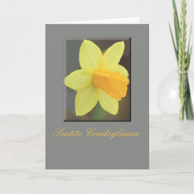 Italian Sympathy Yellow Daffodil Card (Front)