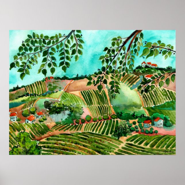 Italian Vineyards Poster (Front)