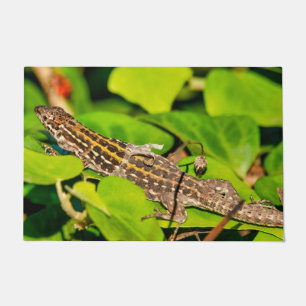 Italian wall lizard doormat