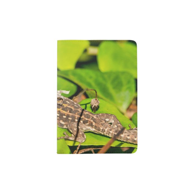 Italian wall lizard passport holder (Front)