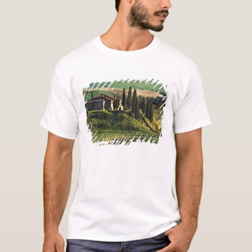 Italy A pastoral Tuscany villa in Val dOrcia T_Shirt