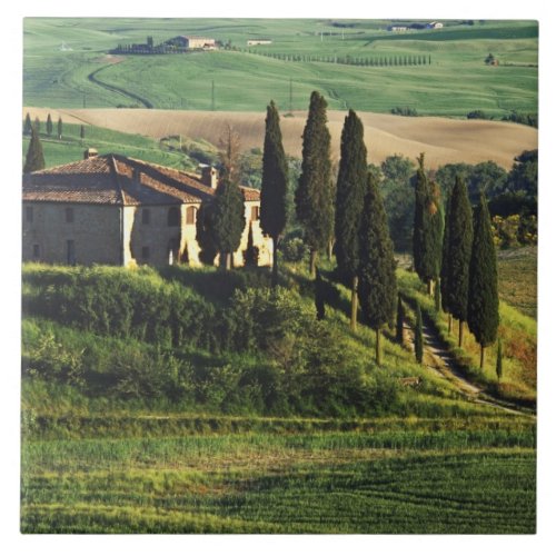 Italy A pastoral Tuscany villa in Val dOrcia Tile