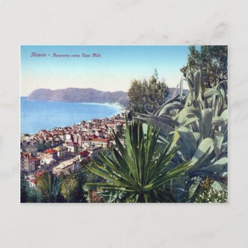 Italy  Alassio Cactus on the hillside Postcard