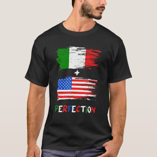 Italy America Italian American Flag Perfection Foo T_Shirt