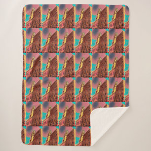 Italy architecture painting sherpa blanket