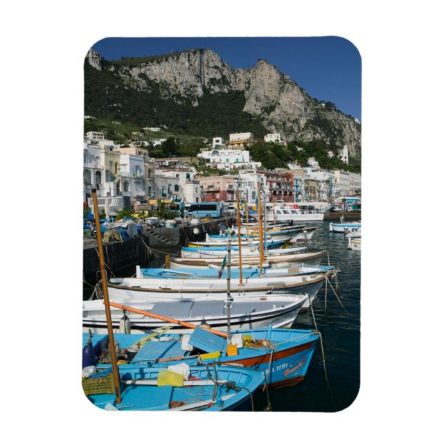 ITALY, Campania, (Bay of Naples), CAPRI: Marina Magnet (Vertical)