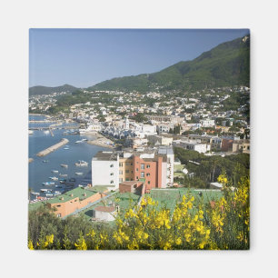 ITALY, Campania, (Bay of Naples), ISCHIA, LACCO Magnet