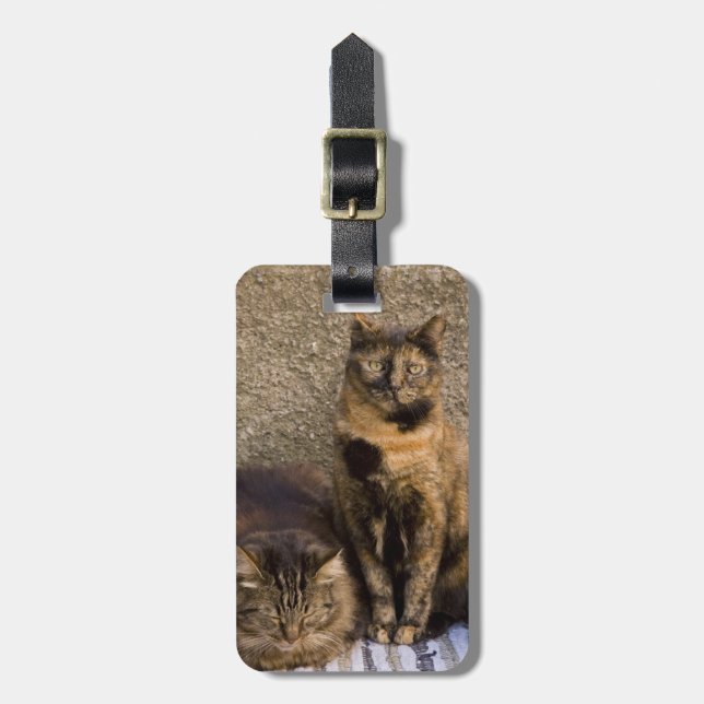 Italy, Cinque Terre, Vernazza. Three cats Luggage Tag (Front Vertical)