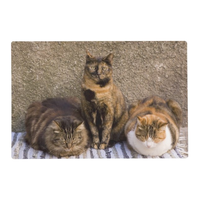 Italy, Cinque Terre, Vernazza. Three cats Placemat (Front)