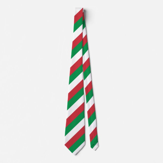 Italy Flag Italian Patriotic Neck Tie (Front)