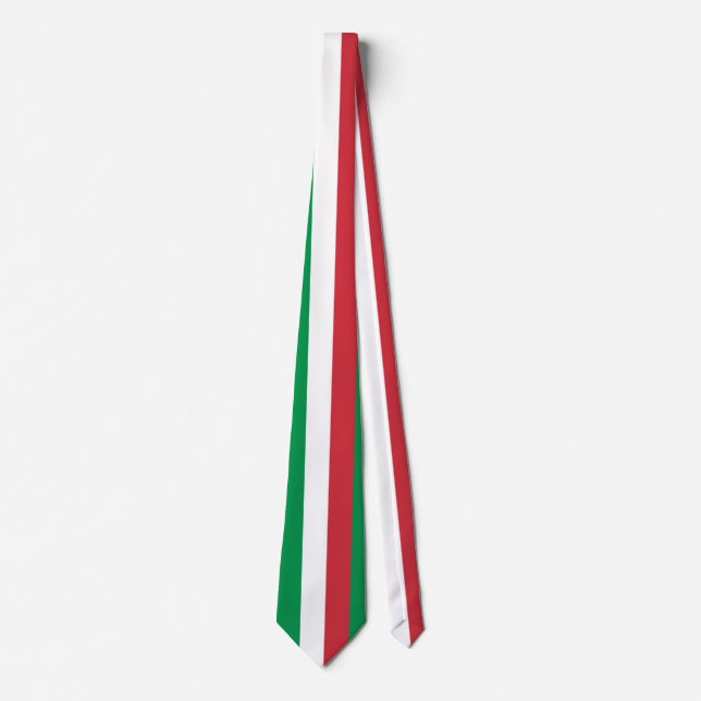 Italy Flag Neck Tie (Front)