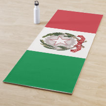 Italy flag phone case