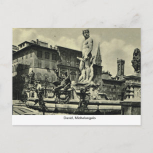 Italy, Florence, Firenze, 1908,David, Michelangelo Postcard