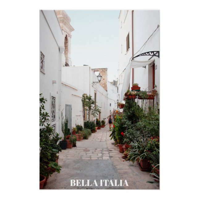 ** Italy Italia AP12 Street Plant Subdued Poster (Front)