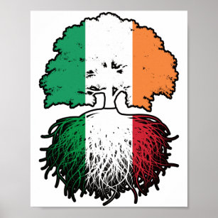 Italy Italian Irish Ireland Tree Roots Flag Poster