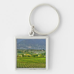 Italy, Lake Garda. The shores of Lake Garda are Keychain