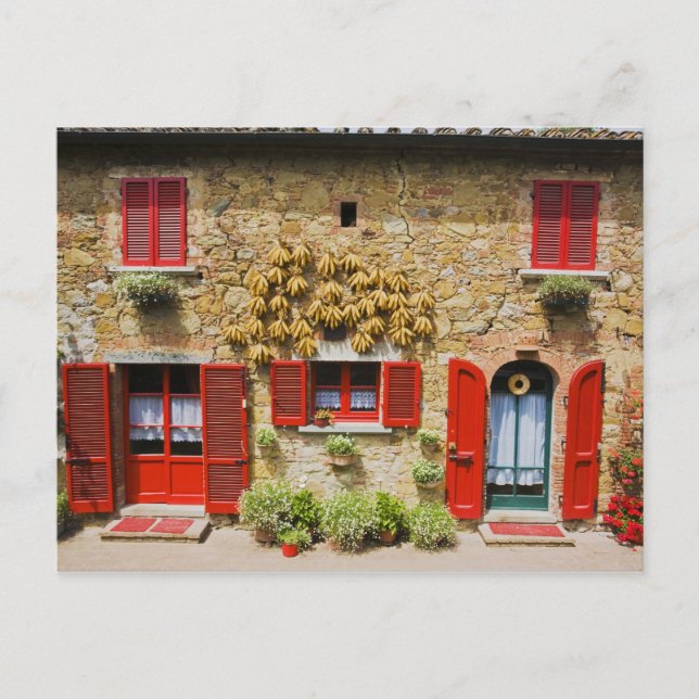 Italy, Lucignano, Red Shutters and Harvest Postcard (Front)