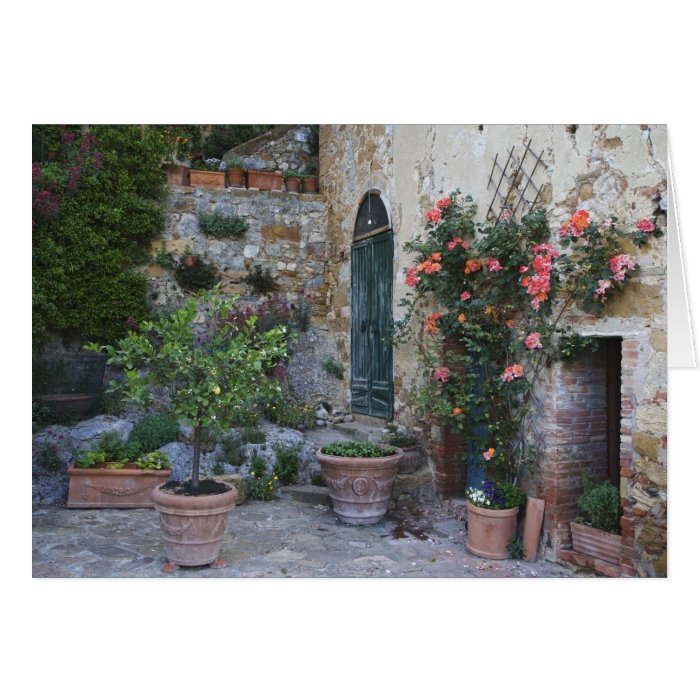 Italy, Petroio. Potted plants decorate a patio Card