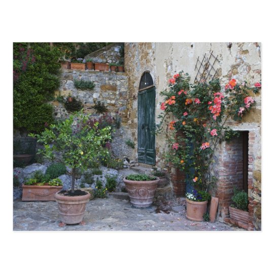 Italy Petroio Potted Plants Decorate A Patio Postcard Zazzle Com