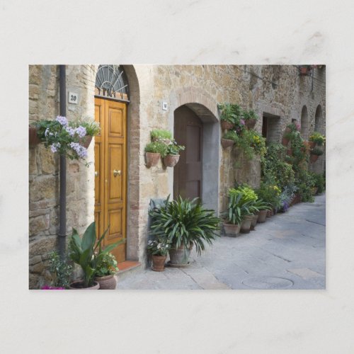 Italy Pienza Flower pots and potted plants Postcard