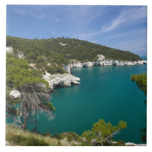 Italy, Puglia, Promontorio del Gargano, Testa Ceramic Tile