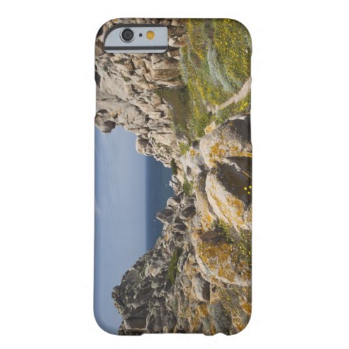 Italy Sardinia Santa Teresa Gallura Capo 2 Barely There iPhone 6 Case