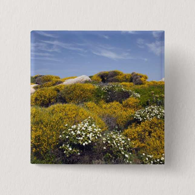 Italy, Sardinia, Santa Teresa Gallura. Capo 3 Button (Front)