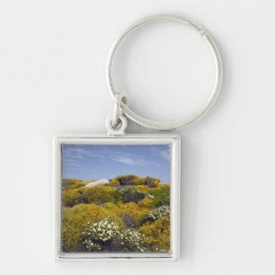 Italy, Sardinia, Santa Teresa Gallura. Capo 3 Keychain