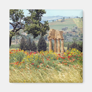 Italy, Sicily, Agrigento. The ruins of the Magnet