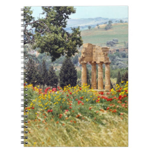 Italy, Sicily, Agrigento. The ruins of the Notebook