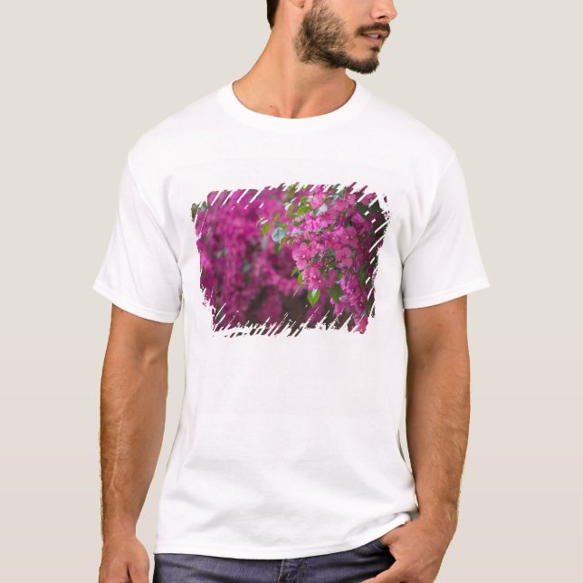 Italy, Sicily, Cefalu, Flowered Courtyard by T-Shirt (Front)