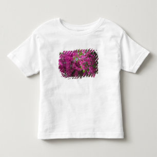 Italy, Sicily, Cefalu, Flowered Courtyard by Toddler T-shirt