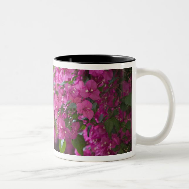 Italy, Sicily, Cefalu, Flowered Courtyard by Two-Tone Coffee Mug (Right)