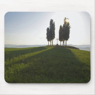 Italy, Tuscany, Cypress Trees in Tuscany with Mouse Pad