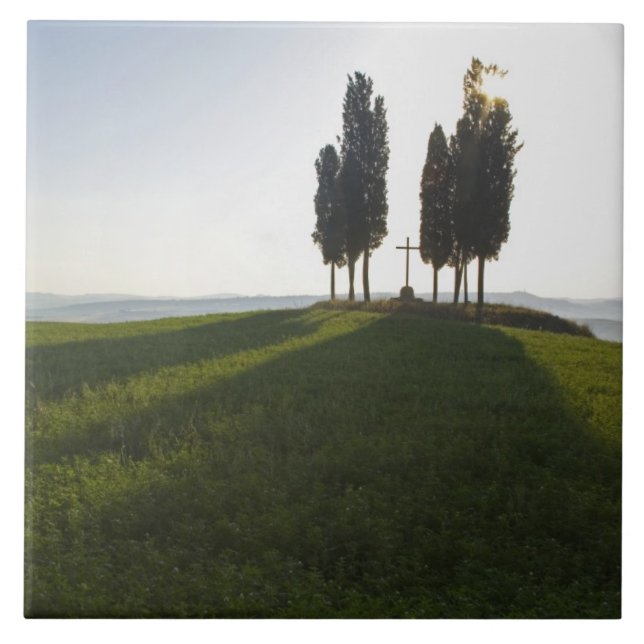 Italy, Tuscany, Cypress Trees in Tuscany with Tile (Front)