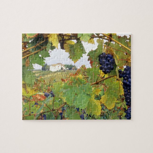 Italy, Tuscany Farmhouse viewed through Jigsaw Puzzle (Horizontal)