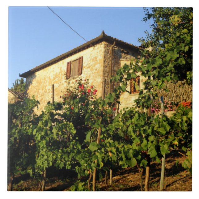 Italy, Tuscany, Greve. Late summer wine scenes Ceramic Tile (Front)