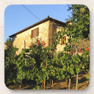 Italy, Tuscany, Greve. Late summer wine scenes Drink Coaster
