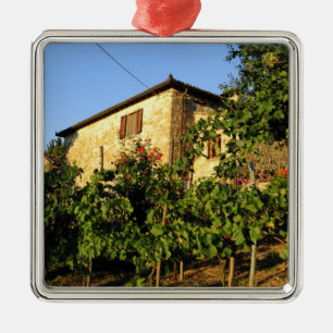Italy, Tuscany, Greve. Late summer wine scenes Metal Ornament