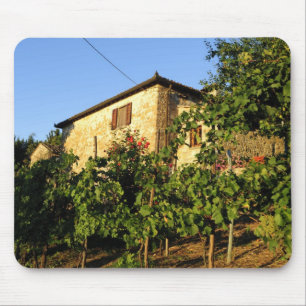 Italy, Tuscany, Greve. Late summer wine scenes Mouse Pad