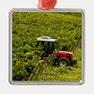 Italy, Tuscany, Greve. Pickers at work during Metal Ornament