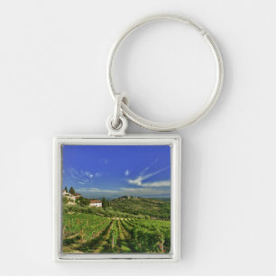 Italy, Tuscany, Greve. The vineyards of Castello Keychain