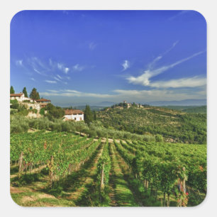 Italy, Tuscany, Greve. The vineyards of Castello Square Sticker