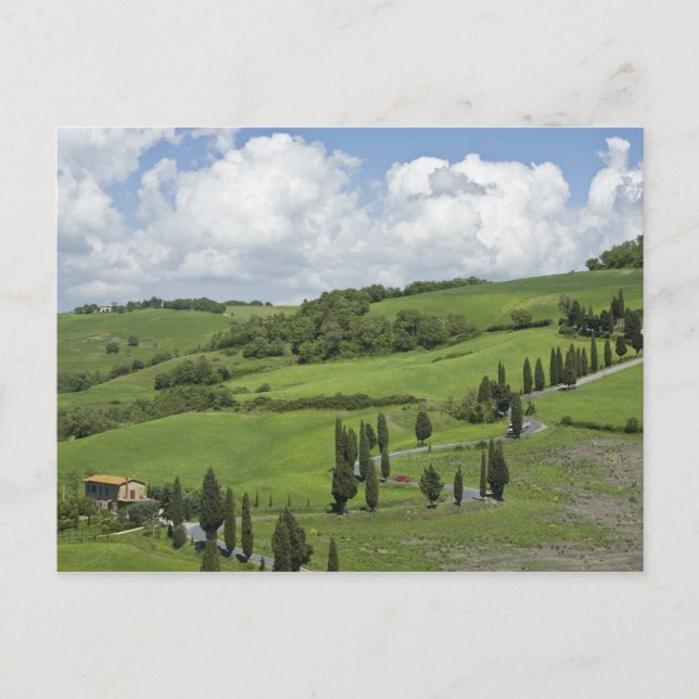 Italy, Tuscany. La Foce. A curved road winds up Postcard (Front)